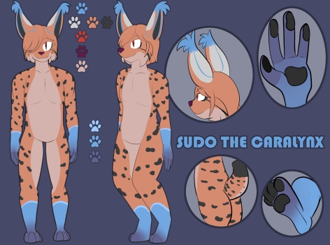 Ref sheet (old)